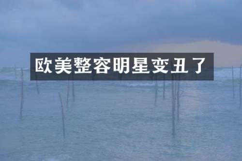 欧美整容明星变丑了