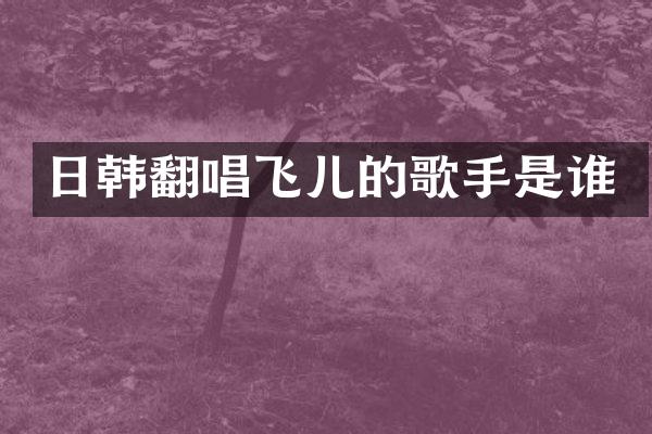 日韩翻唱飞儿的歌手是谁