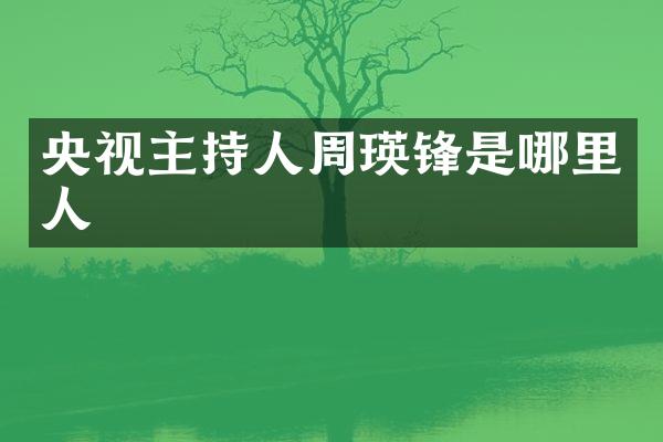 央视主持人周瑛锋是哪里人