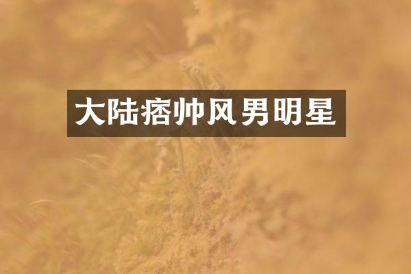大陆痞帅风男明星