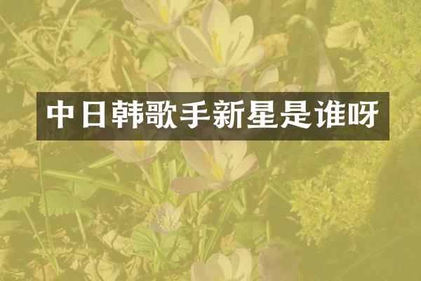 中日韩歌手新星是谁呀