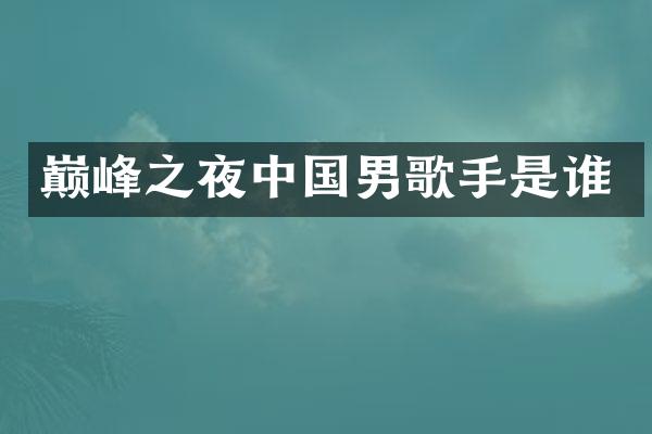 巅峰之夜中国男歌手是谁
