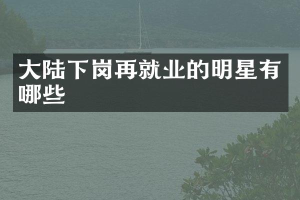 大陆下岗再就业的明星有哪些