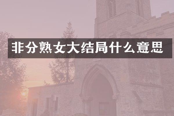 非分大结局什么意思