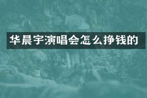 华晨宇演唱会怎么挣钱的
