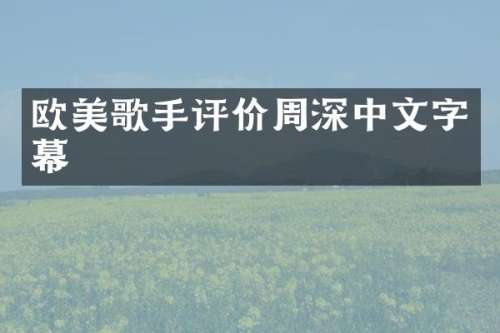 欧美歌手评价中文字幕