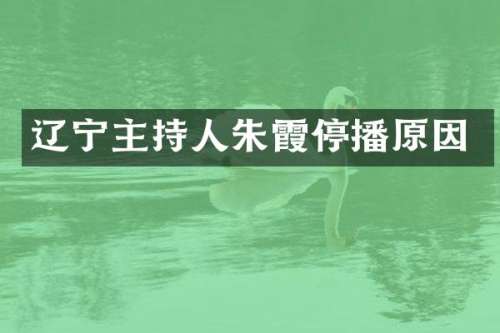 辽宁主持人朱霞停播原因