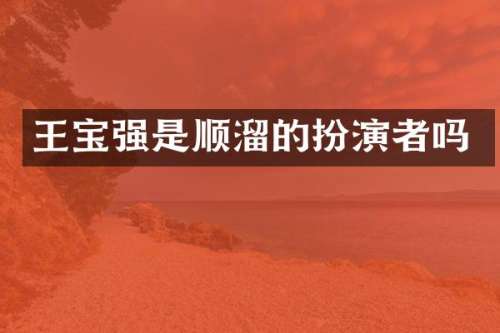 王宝强是顺溜的扮演者吗