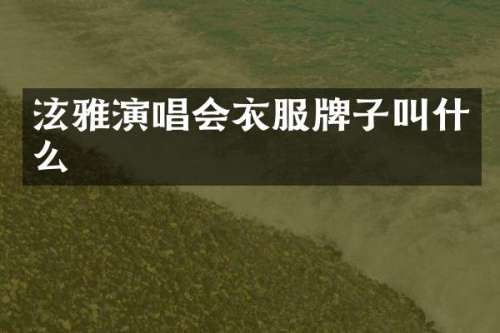 泫雅演唱会衣服牌子叫什么