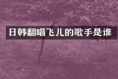 日韩翻唱飞儿的歌手是谁