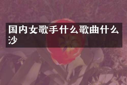 国内女歌手什么歌曲什么沙