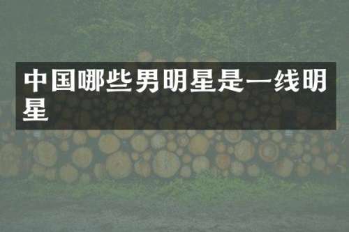 中国哪些男明星是一线明星