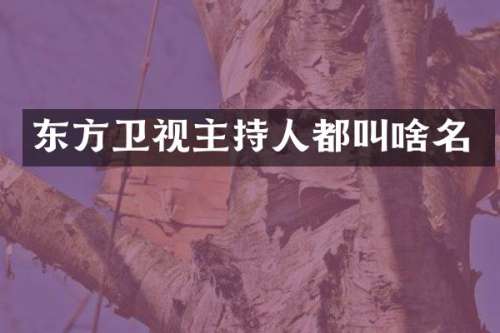 东方卫视主持人都叫啥名