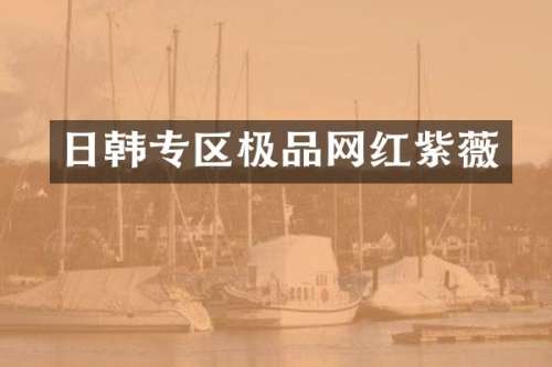 日韩专区网红紫薇