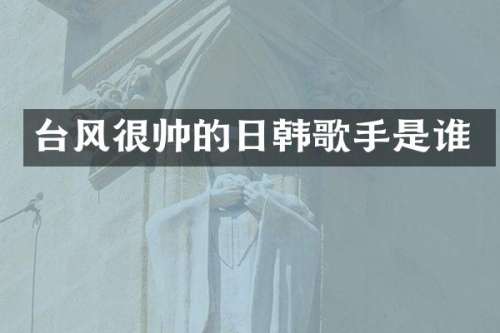 台风很帅的日韩歌手是谁