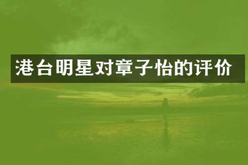 港台明星对章子怡的评价