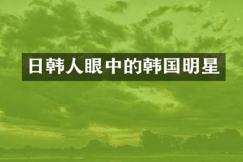 日韩人眼中的韩国明星