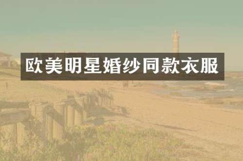 欧美明星婚纱同款衣服