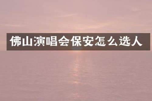 佛山演唱会保安怎么选人