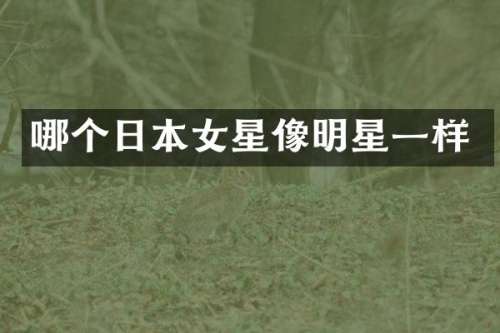 哪个日本女星像明星一样