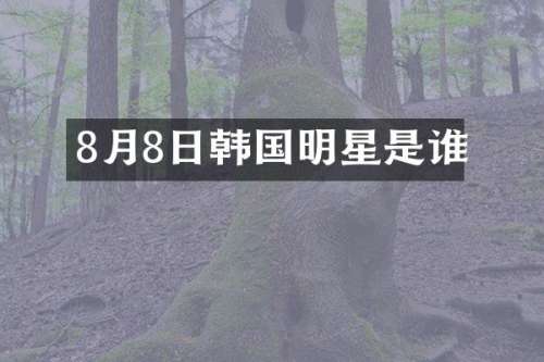 8月8日韩国明星是谁