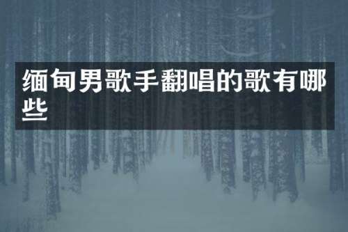 缅甸男歌手翻唱的歌有哪些