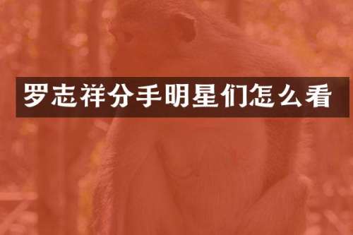 罗志祥分手明星们怎么看