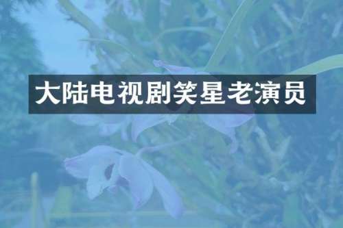 大陆电视剧笑星老演员