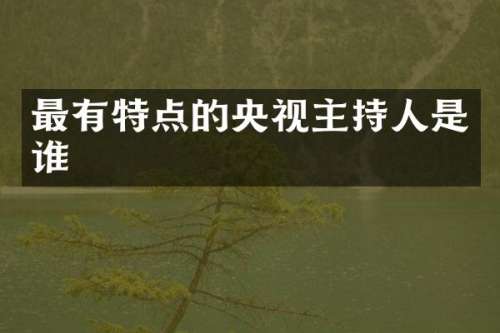 最有特点的央视主持人是谁