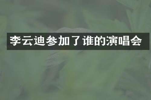 李云迪参加了谁的演唱会