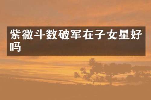 紫微斗数破军在子女星好吗