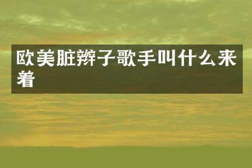 欧美脏辫子歌手叫什么来着
