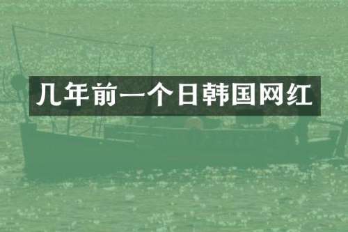 几年前一个日韩国网红