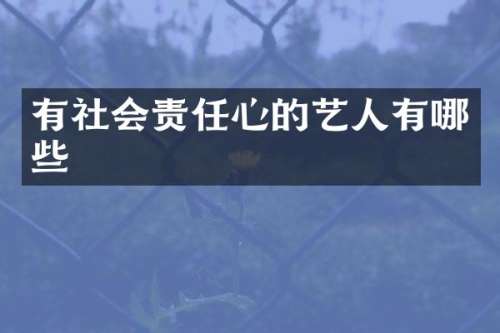 有社会责任心的艺人有哪些