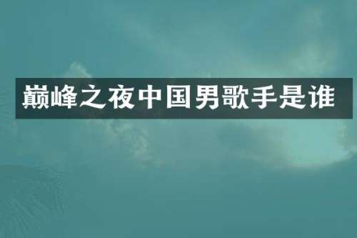 巅峰之夜中国男歌手是谁