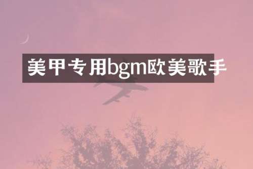 美甲专用bgm欧美歌手