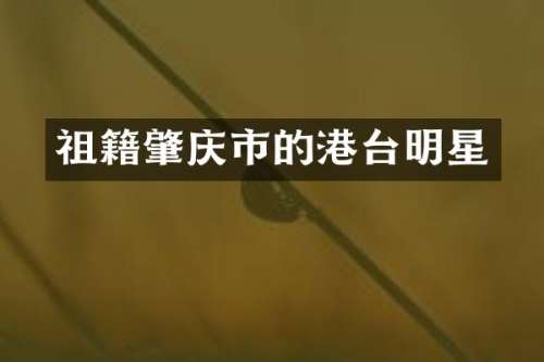 祖籍肇庆市的港台明星
