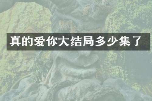 真的爱你大结局多少集了