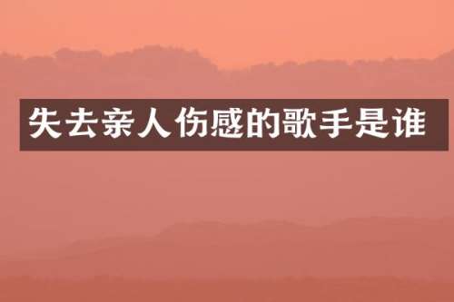 失去亲人伤感的歌手是谁
