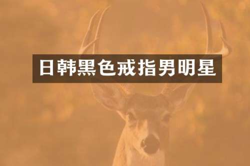 日韩黑色戒指男明星
