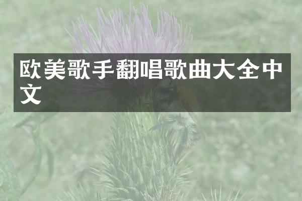 欧美歌手翻唱歌曲大全中文