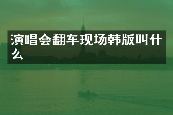 演唱会翻车现场韩版叫什么