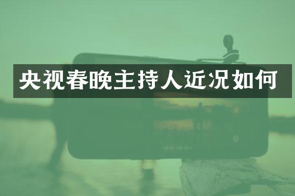 央视主持人近况如何