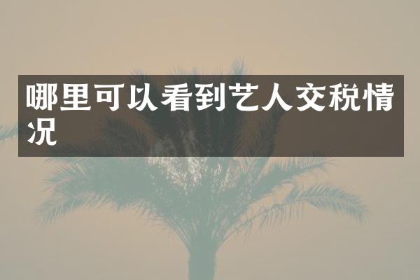 哪里可以看到艺税情况