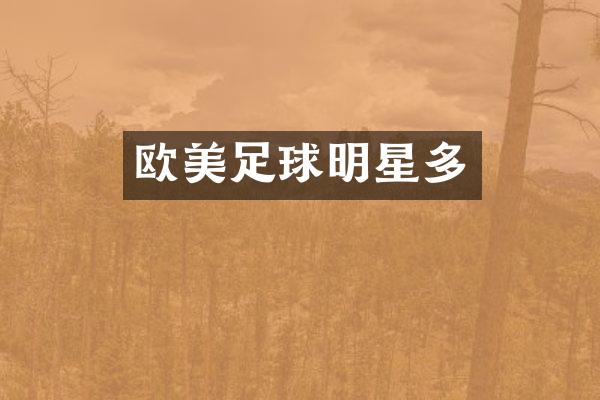 欧美足球明星多
