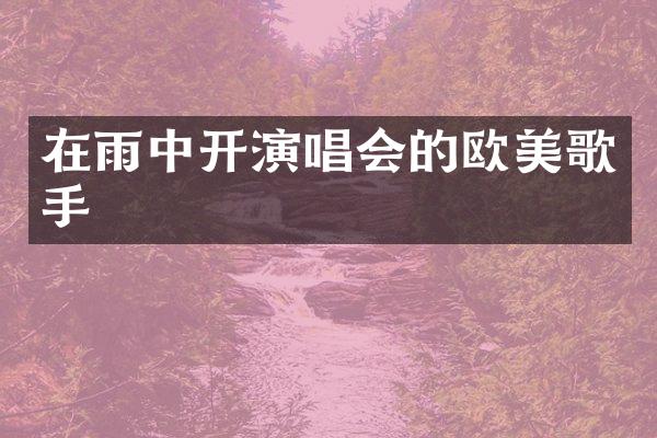 在雨中开演唱会的欧美歌手