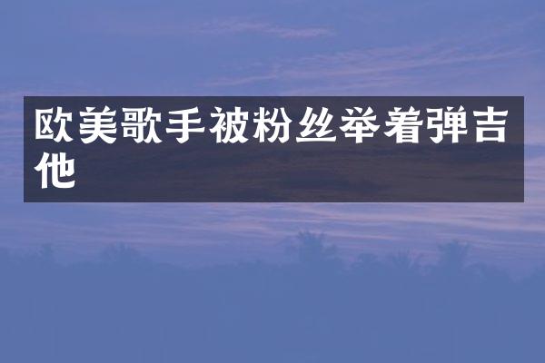 欧美歌手被粉丝举着弹吉他