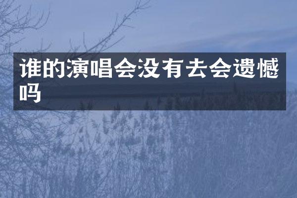 谁的演唱会没有去会遗憾吗