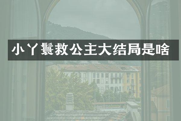 小丫鬟救公主大结局是啥
