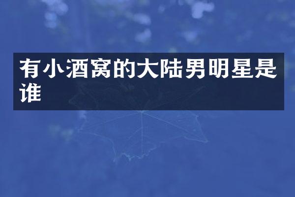 有小酒窝的大陆男明星是谁